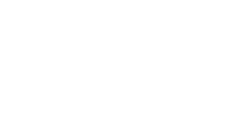 Immo Holm